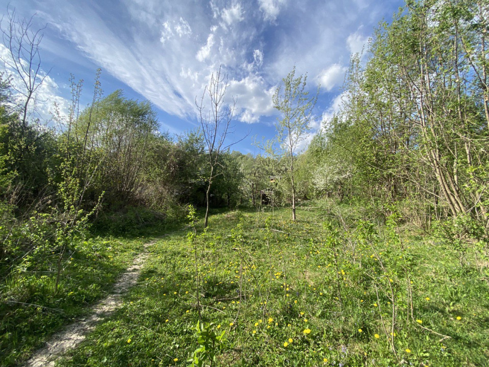 Teren  Breaza in zona verde, 1027 mp , Cartierul Frasinet