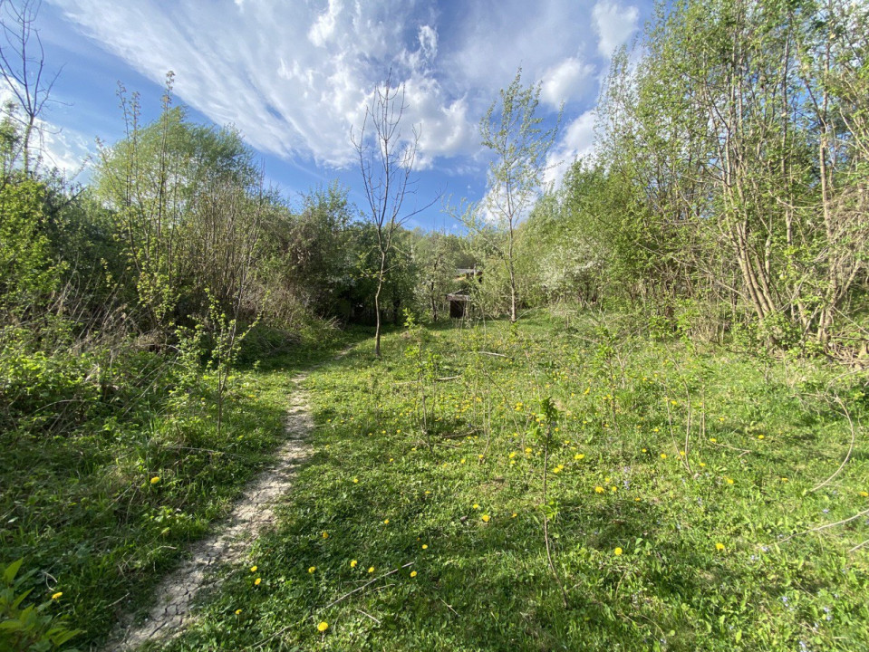 Teren  Breaza in zona verde, 1027 mp , Cartierul Frasinet