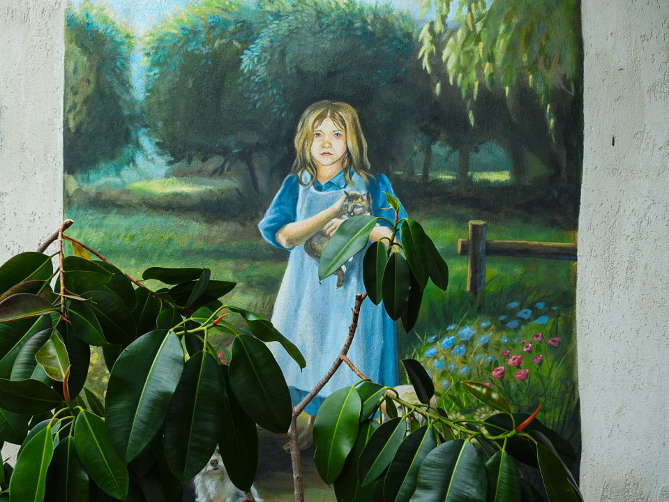 Pensiune la cheie  + casa in inima naturii, teren - 2400 mp, 5