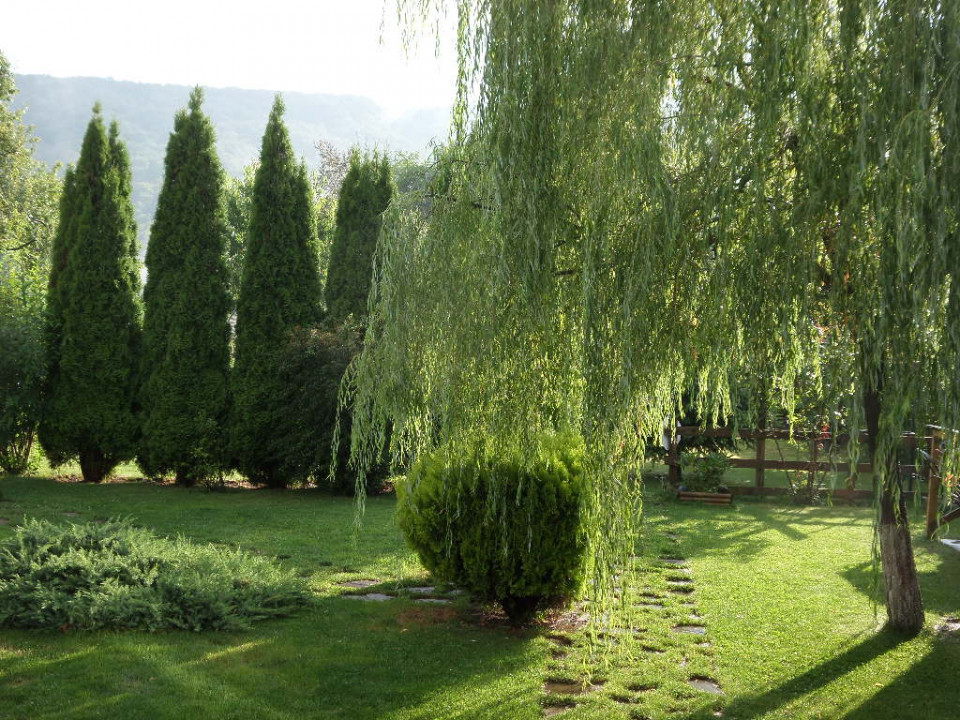 Pensiune la cheie  + casa in inima naturii, teren - 2400 mp, 5