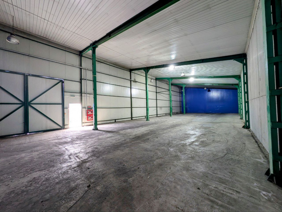 Dipozit/Showroom , Centura Bucuresti , 800 mp