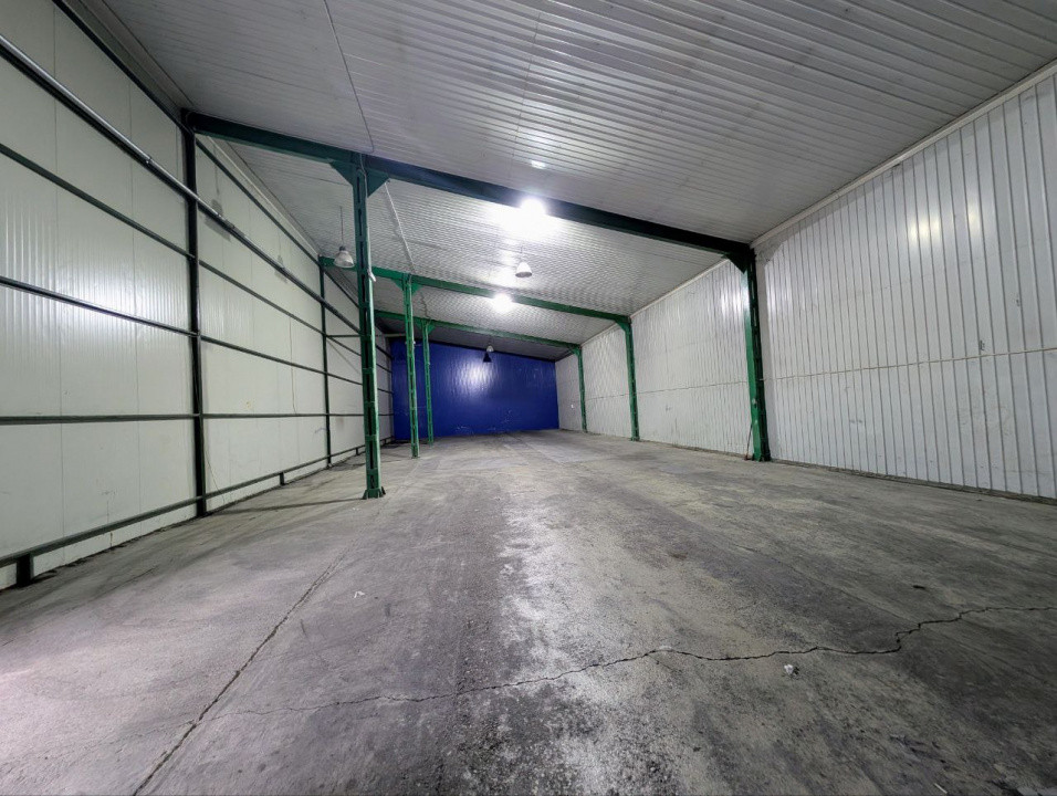 Dipozit/Showroom , Centura Bucuresti , 800 mp