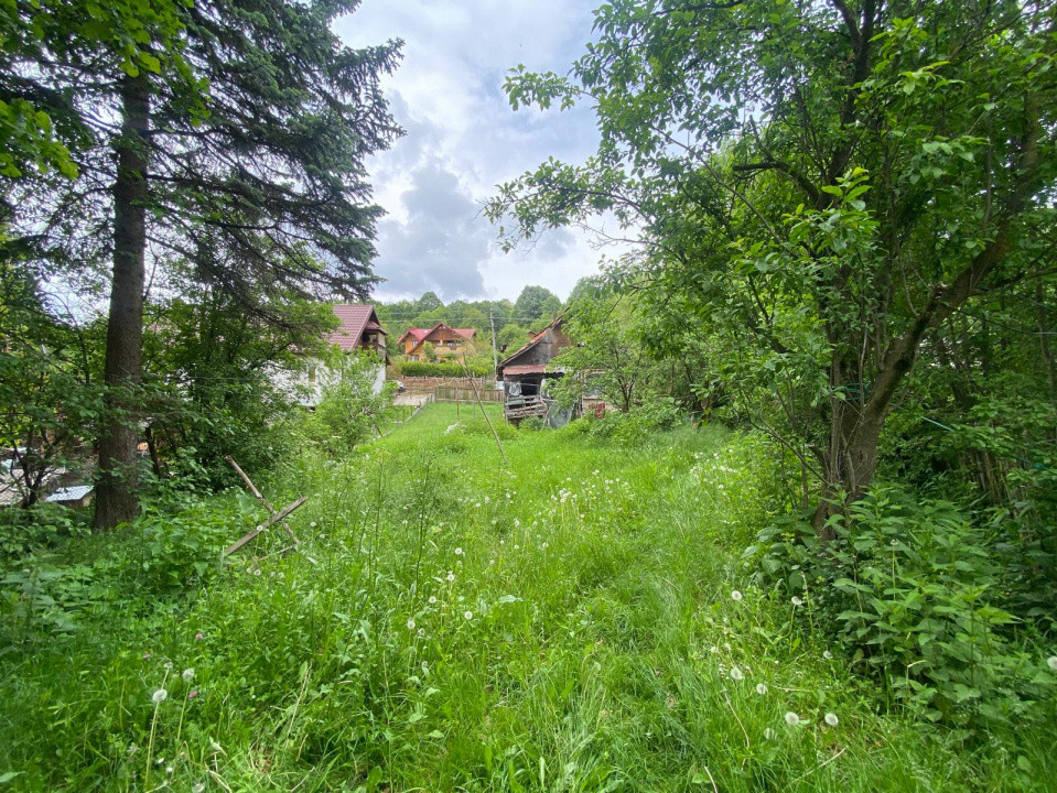 Casa bătrînească + Teren 1190 mp